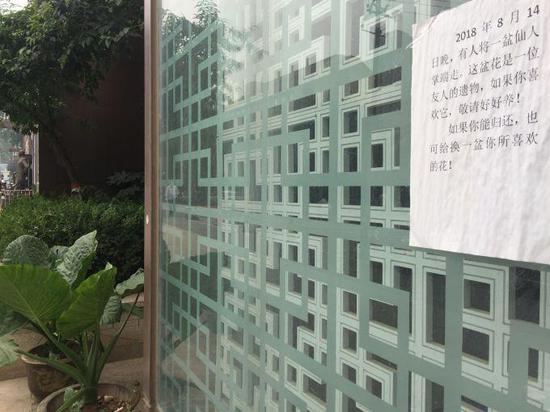 “希望能把這盆花還給我”