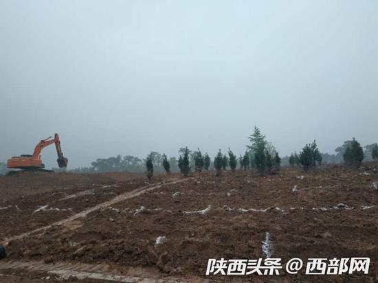 鄠邑区山水草堂、达观天下复绿现场。