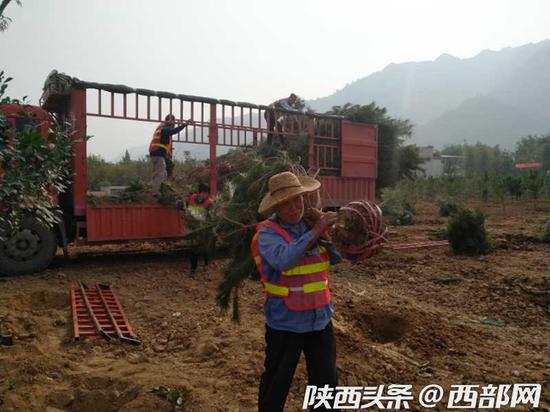 路易山莊違建別墅拆除后復綠現場。
