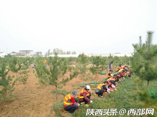 路易山莊違建別墅拆除后復綠現場。