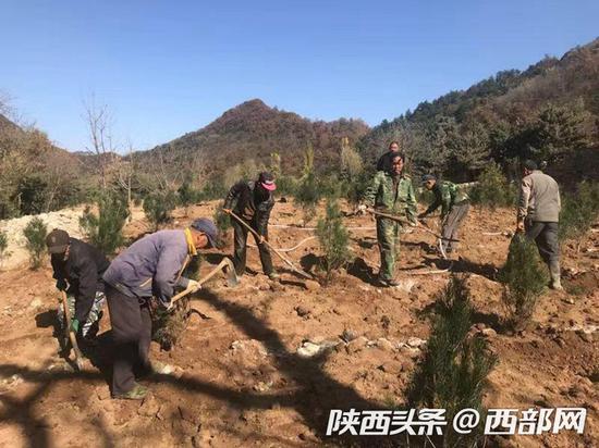 长安区大坝沟沣峪庄园违建项目复绿现场。