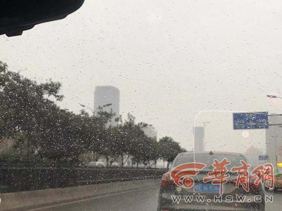 網(wǎng)友:指紋