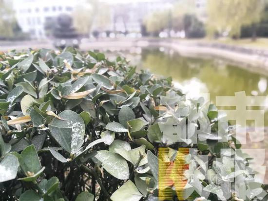 去柞水的高速路上