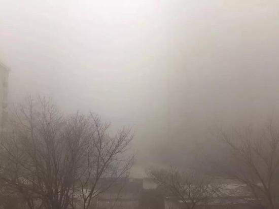 (西安市高新区↑)