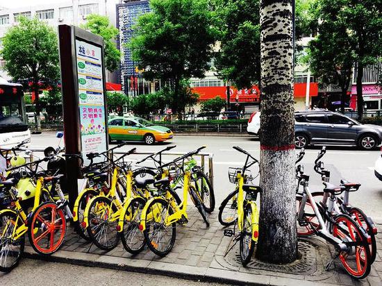 西安市小寨一处公交站台被共享单车“占领”。资料图