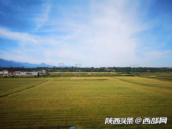 天王村华丽变身梦中美丽乡村