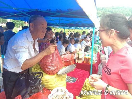 市民在安康首届富硒核桃采摘节启动仪式上购买核桃。