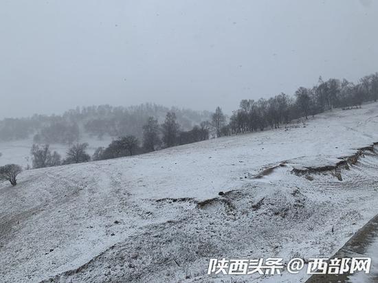 关山草原迎降雪