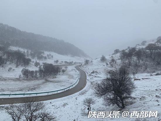 关山草原迎降雪