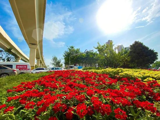 绿色环绕,鲜花相伴,西安会展新地标真靓!