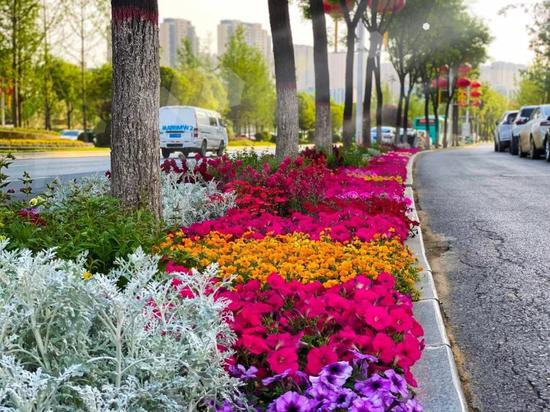 绿色环绕,鲜花相伴,西安会展新地标真靓!
