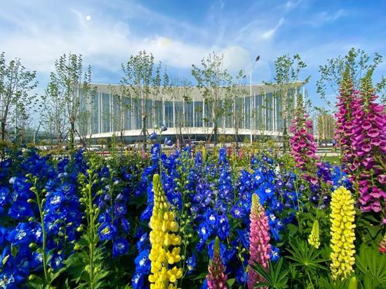 绿色环绕,鲜花相伴,西安会展新地标真靓!