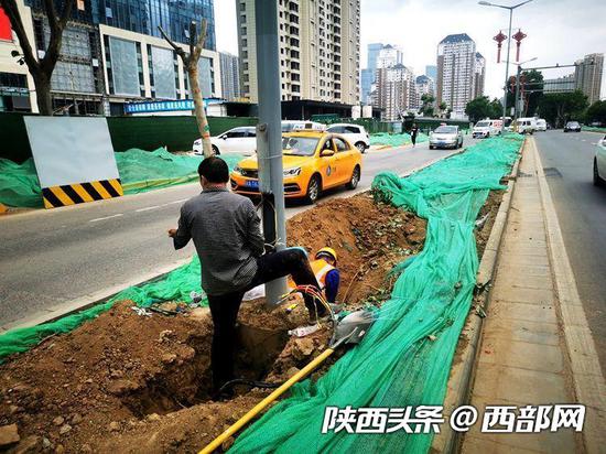 電子城兩旁的法國(guó)梧桐樹(shù)被挖。