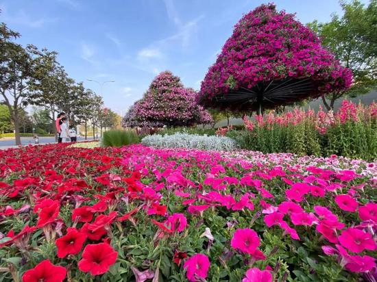 绿色环绕,鲜花相伴,西安会展新地标真靓!