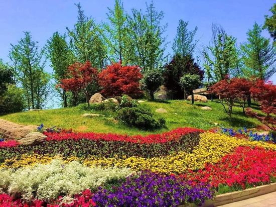 绿色环绕,鲜花相伴,西安会展新地标真靓!