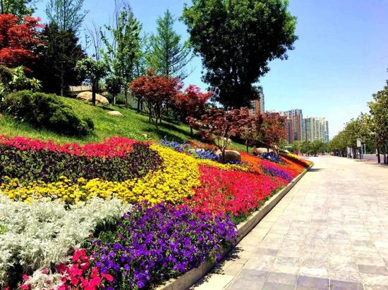 绿色环绕,鲜花相伴,西安会展新地标真靓!