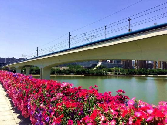 绿色环绕,鲜花相伴,西安会展新地标真靓!