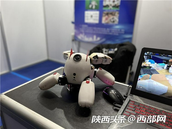 西北工业大学团队现场展示的多功能情感陪护机器人