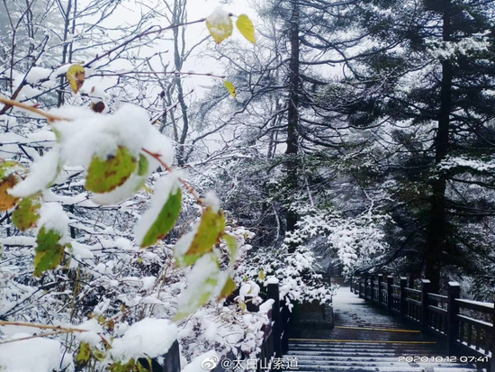 11日晚 宝鸡太白一夜积雪10厘米