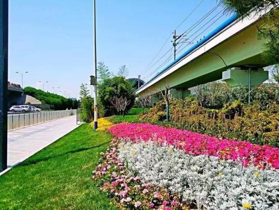 立体绿化不一般 这里让您感受绿色城市森林的