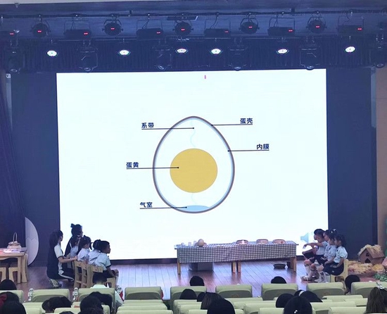 《各种各样的蛋》教学成果展示