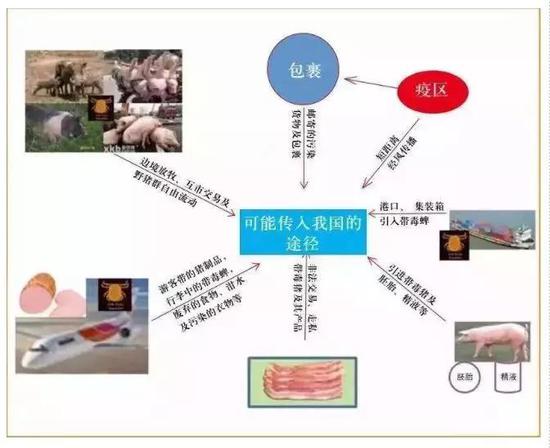 5非洲豬瘟不傳染人，為什么疫情處置有關(guān)人員還穿戴防護(hù)服？