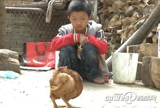 商州区农户买了只鸡竟是三条腿