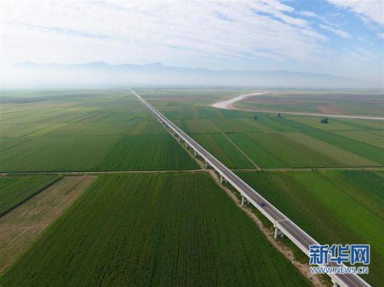 8月8日,沿黄观光路渭南段从渭南市大荔县多彩渔村景区穿过。新华社记者 邵瑞 摄