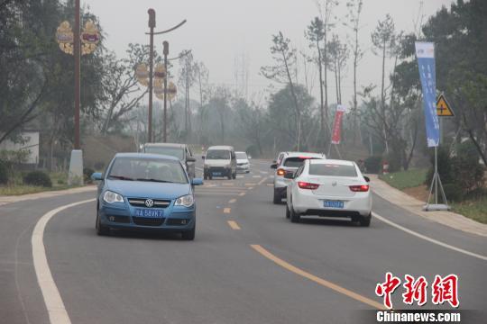 圖為10月2日沿黃觀光路上車輛往來不斷。　阿琳娜　攝
