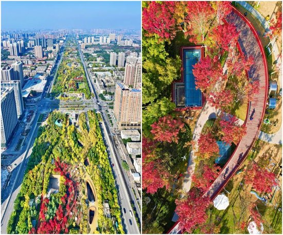 幸福林带园区航拍实景图