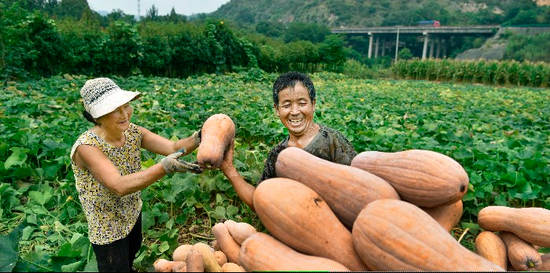 南郑人口数量_汉中南郑区地图(2)