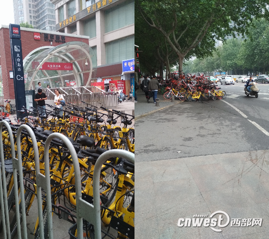 网友发帖称太白南路地铁口共享单车堆积成山。