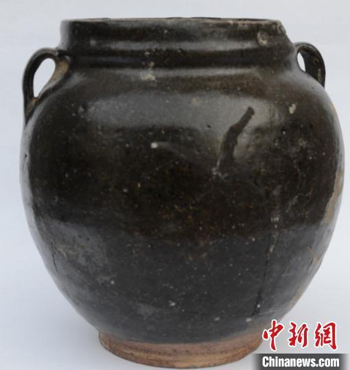 出土器物。陕西省考古研究院供图