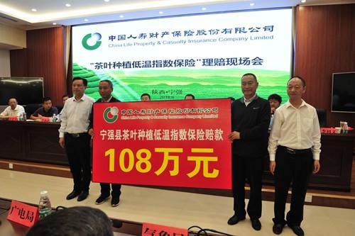 中国人寿财险汉中中支茶叶种植低温指数保险理