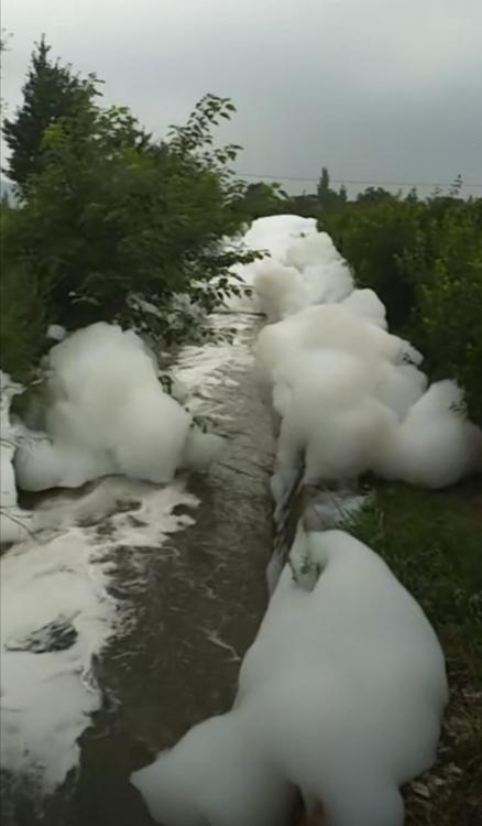 石头河下游漂浮大量白色泡沫。网友视频截图