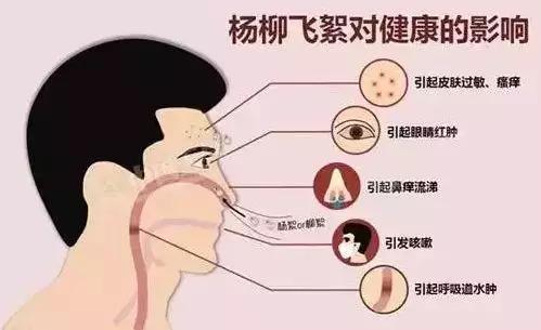 好消息是