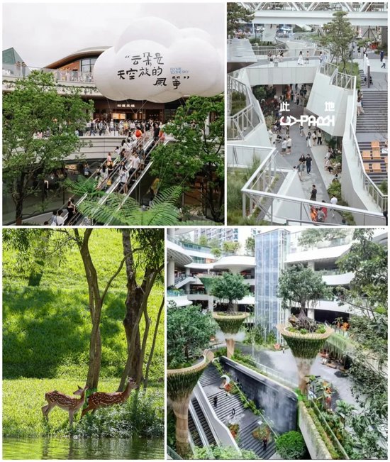 图片来源:各项目方