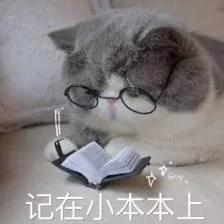 猝不及防系列