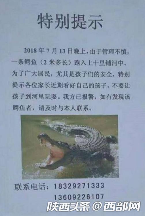 鳄鱼丢失后，涉事养殖场贴出通知书。