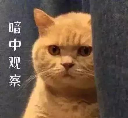 西雅圖大學——撩妹課