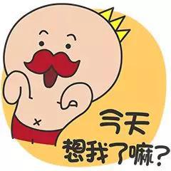 为啥小编不出门?
