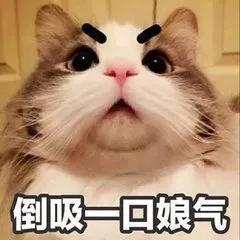 然而买不起的依然买不起
