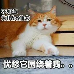 但对于买房这件事