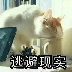 但是人生总是要有梦想的