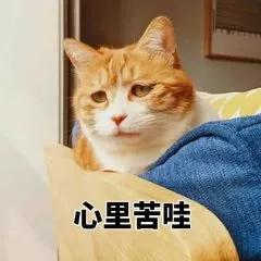 新的一年,9妹希望大家在2019的年末