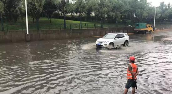 市民在积水中捡到多个车牌