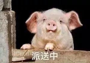 “喂您好，您的快递到了”