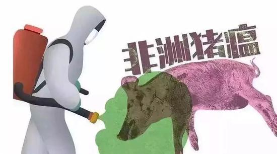 2非洲豬瘟?xí)腥救藛幔磕壳笆袌錾县i肉還能買嗎？還能吃嗎？