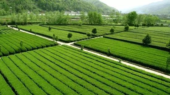 来源:陕西省旅游发展委员会