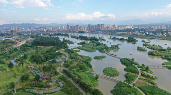 汉中天汉湿地公园 杨帆 摄